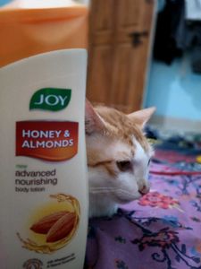 Advance Nourishing Body Lotion Honey &amp; Almond