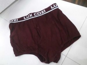 lux cozi underwear