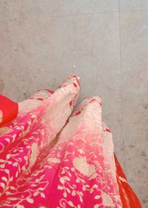 Elegant Embroidered Indian Outfit