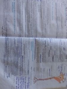 NCERT BIOLOGY CLASS 11