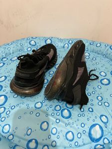 Calcetto sports shoes
