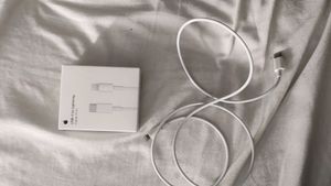 Original iPhone Data Cable