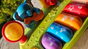 Musical Animal Piano Toy