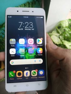 Vivo Y55 phone