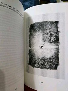 Hidden Pictures