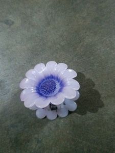 Hair Clip Bundle