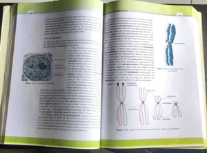 NCERT Class 11 Biology Textbook – Original Edition