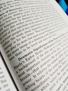 Shakespeare As You Like It Critical Evaluation