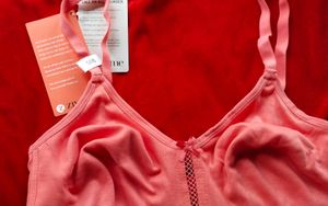 Zivame Women Non Padded Tshirt Bra