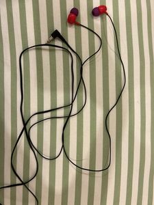Earphones (New)
