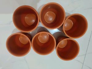 Tea Cup