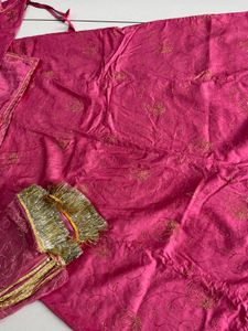 Beautiful Pink Poshak
