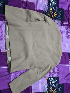 Zara Winter Jacket
