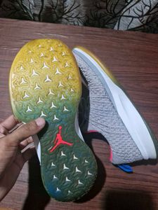 Nike Air Jordan Trainer 2 Flyknit Grey