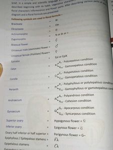 Allen Biology Module