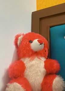 Teddy Bear 🧸