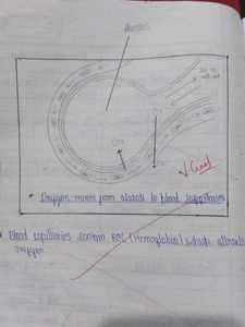 Biology Class 10th Notes
