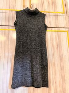 Winter Dress with Coat