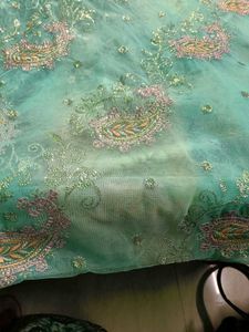 Very Beautiful Net Embroidery Saree Blousepetticot