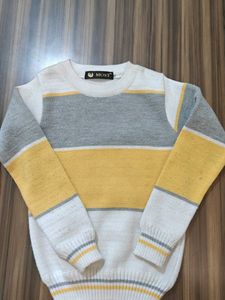 Sweater &amp; Vest Bundle