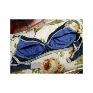 Blue Bra