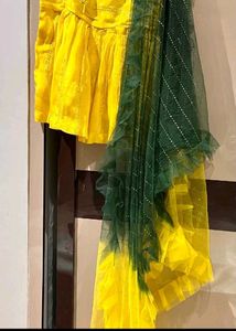 Party Wear Sharara