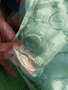 Beautiful Net Saree