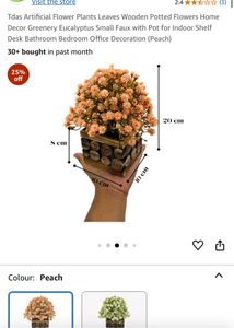 Artificial Plant