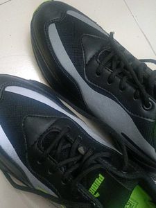 Unisex Puma 1st Copy Dupe