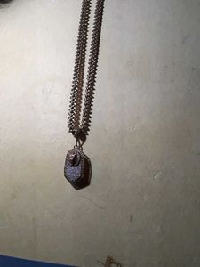 Chain And Tiger Locket