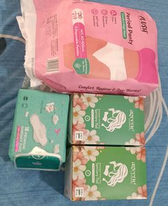 Feminine Hygiene Combo: Period Panties & Pads