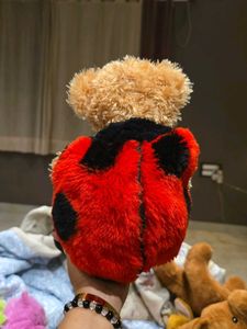 Ladybug Teddy Bear
