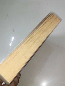 The Subtle Knife Philip Pullman