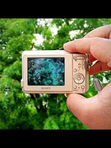 Sony Cybershot DSC-S2000 (Peach Yellow) 💛