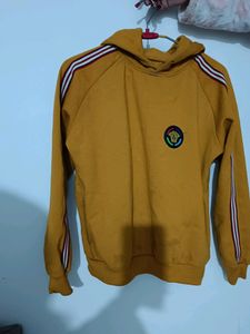 Mustured Hoody