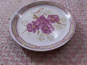 Dinnerware Plates (Set of 5)