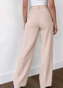 Beige Wide Leg Trousers (Street Style store)