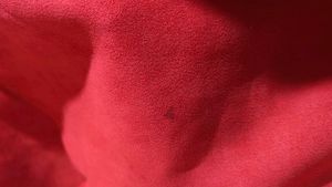 Red korean top