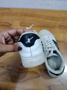 Sparx Brand Sneakers For Womens