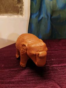 Drishti Elephant