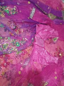 Beautiful Ethnic saree lehenga with blouse