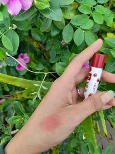 Combo Of 2 Pigmented Lipbalms