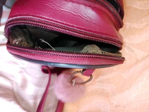 Ted Baker Backpack