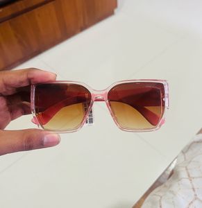 Louis Vuitton Clear Frame Sunglasses