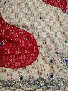Elegant Embellished Sari