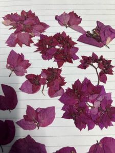 dry flowers for resin art