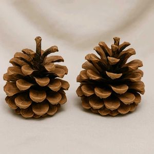 Natural Pine Cones New ( Fresh )Set Of 2