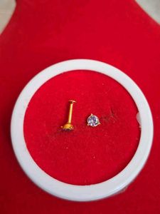 Cute Stud Earrings Gold