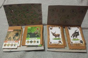 Animal Image Cards.