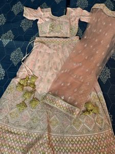 Elegant Pink Lehenga Choli Set